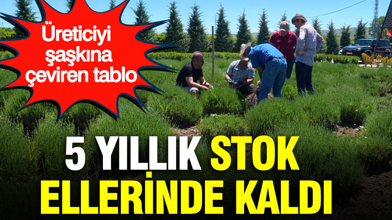 haber-gorseli-1787054721575